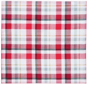 4-Pack-Plaid-Napkins on sale