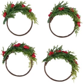 4-Pack-Berry-Napkin-Rings on sale