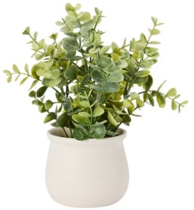 Artificial+Dollar+Gum+Eucalyptus+in+Pot