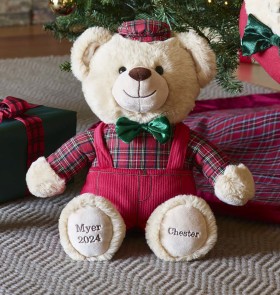 Myer-Giftorium-Chester-2024-Christmas-Charity-Bear-40cm on sale