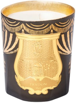 Trudon-Fir-Classic-Scented-Candle-270 on sale