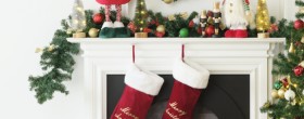 Jolly-Joy-Christmas-Festive-Stems on sale