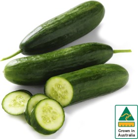 Australian+Lebanese+Cucumber