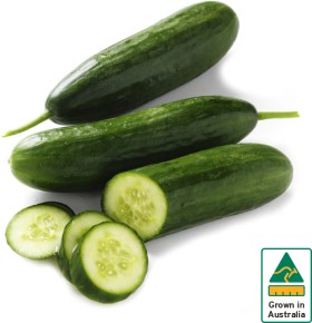 Australian-Lebanese-Cucumber on sale