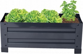 Trough+Garden+Bed+60x25x20cm