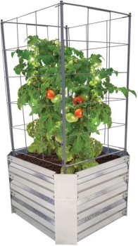 Steel+Tomato+Trellis+45.5x45.5x91.5cm