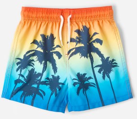 Printed+Boardshorts+-+Multi+Ombr