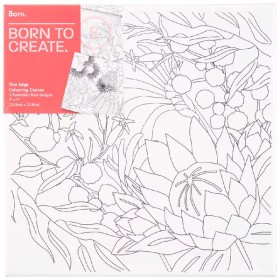 Born+Colouring+Canvas+Australian+Flora+3+Pack