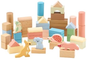 Kadink-Wooden-Blocks-60-Pack on sale