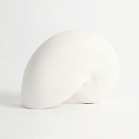 Cora+Nautilus+Decorative+Shell+by+Habitat