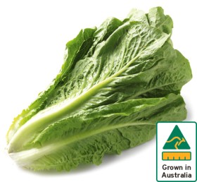 Australian-Cos-Lettuce-Twin-Pack on sale