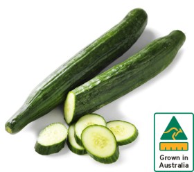 Australian-Continental-Cucumber on sale