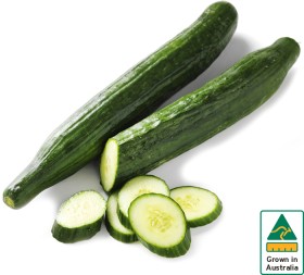 Australian-Continental-Cucumber on sale