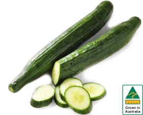 Australian-Continental-Cucumber on sale