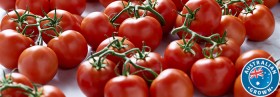 Australian-Truss-Tomatoes on sale