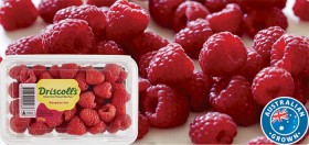 Australian+Raspberries+170g+Punnet