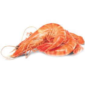 Thawed-Extra-Large-Cooked-Australian-Tiger-Prawns on sale