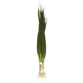 Australian-Spring-Onions on sale