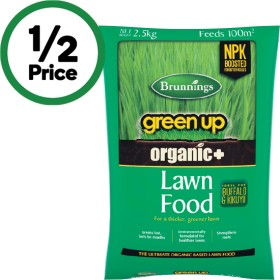 Brunnings+Green+Up+Lawn+Food+2.5+kg