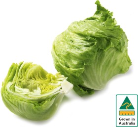 Australian+Iceberg+Lettuce