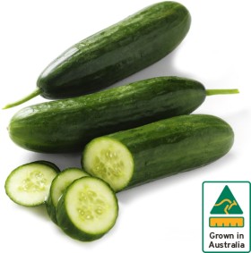 Australian-Lebanese-Cucumber on sale