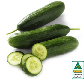 Australian-Lebanese-Cucumber on sale