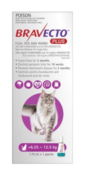 Bravecto-Plus-Cat-Spot-on-625-125kg-1-Pack on sale