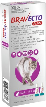 Bravecto+Plus+Cat+Spot+on+6.25-12.5kg+2+Pack