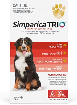 Simparica-Trio-401-60kg-Chews-6-Pack on sale