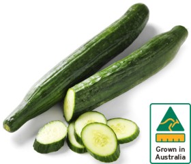 Australian-Continental-Cucumber on sale