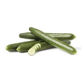 Australian-Continental-Cucumber on sale