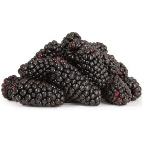 Australian+Blackberries+170g+Punnet