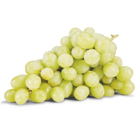 Australian+White+Seedless+Grapes