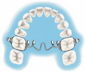 Buy+2+Save+15%25+or+Buy+3%2B+Save+20%25%2A+on+Molar+Rotator