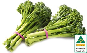 Australian-Baby-Broccoli on sale