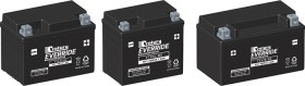 Century-Everride-Powersports-Batteries on sale