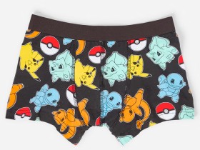 Pokemon-License-Trunks on sale