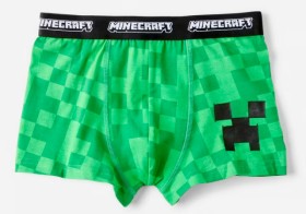 Minecraft-License-Trunks on sale