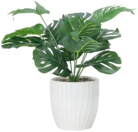 Artificial+Monstera+in+Ceramic+Pot