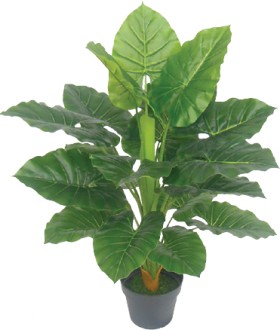 Artificial-Taro-Plant-80cm on sale