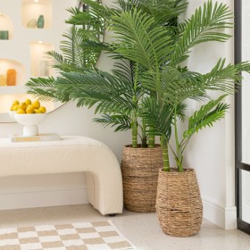 Artificial-Bangalow-Palm-by-MUSE on sale