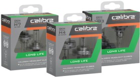 Calibre+Long+Life+Headlight+Globes%5E