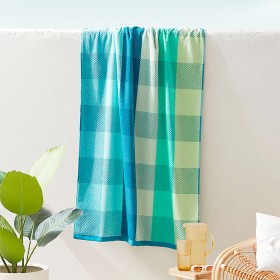 Beach-Towels on sale