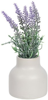 Otto-Mini-Plant on sale