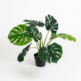 Artificial+Small+Monstera+Plant+by+M.U.S.E.