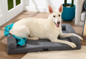 Pets-Unlimited-Orthopaedic-Pet-Sofa on sale