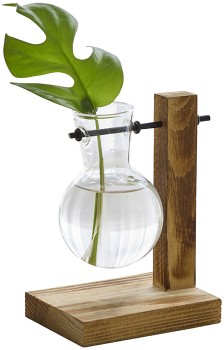 Gardenista-Propagation-Vase on sale