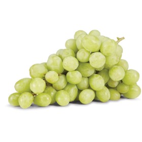 Australian+White+Seedless+Grapes