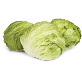 Australian+Iceberg+Lettuce