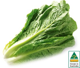 Australian-Cos-Lettuce-Twin-Pack on sale